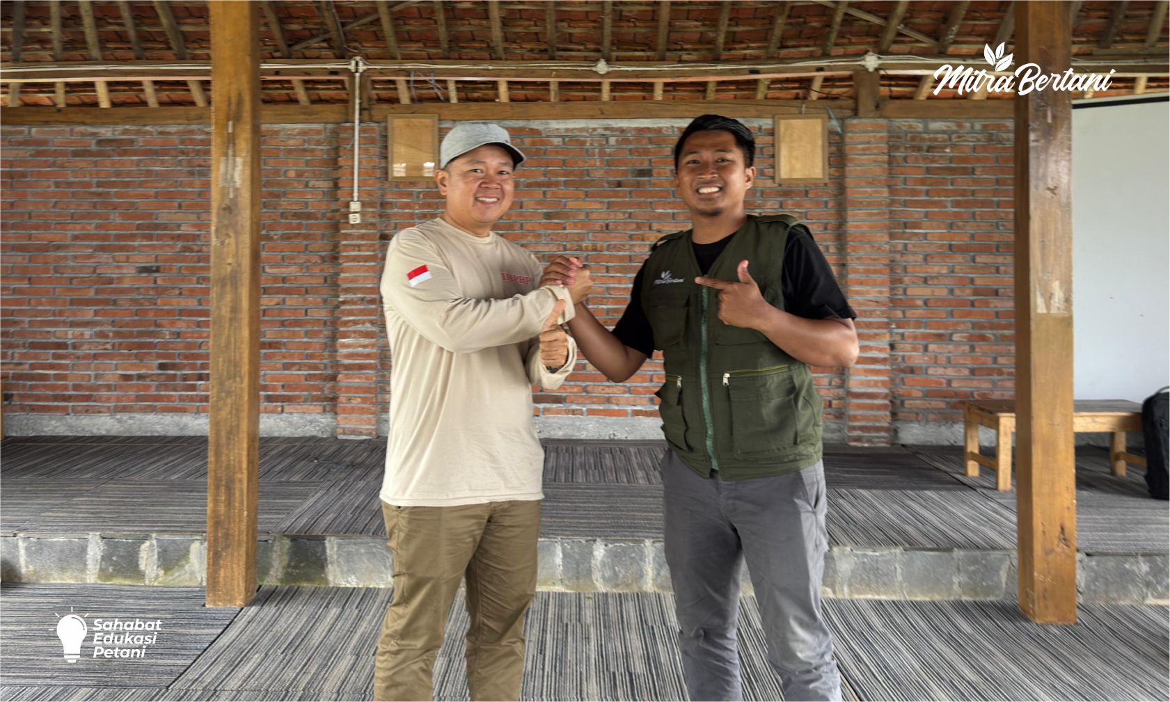 Tanaman Cabai Terserang Penyakit di Musim Hujan? Ini Langkah Tepat Pencegahan dan Penangannya!!