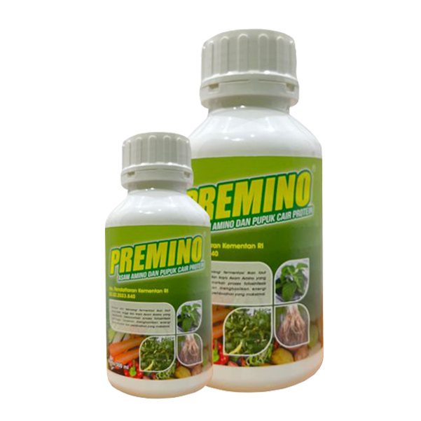 PREMINO