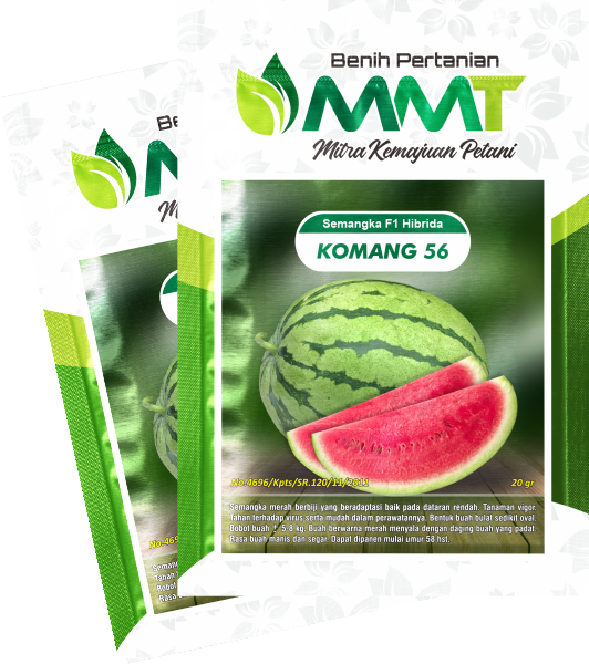 KOMANG 56