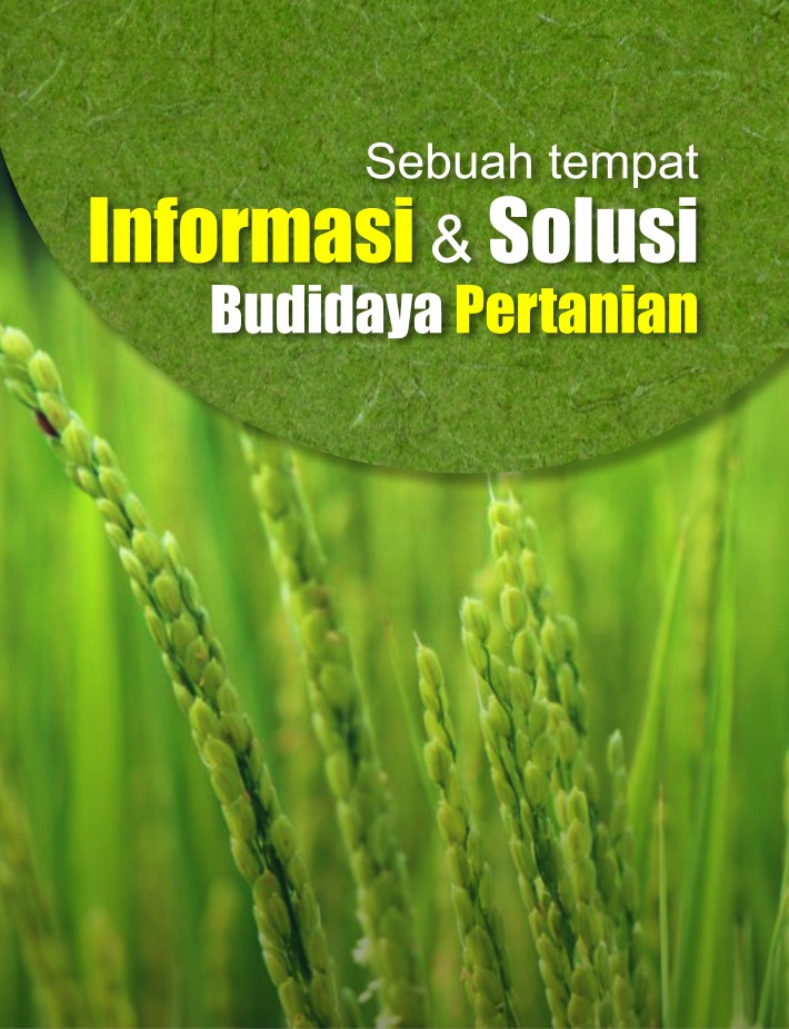 slide-mmt-1